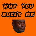 Why You Bully Me