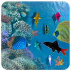 Aquarium Fishes Live Wallpaper icon