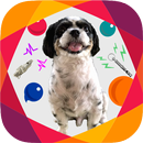 APK Dog Whistle Free Animated Dog 
