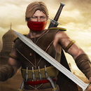 Flying Assassin Hero Survival APK
