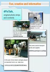 DumaSense Chinese Dictionary APK download