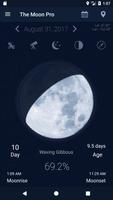 The Moon Pro - Calendar moon P Affiche