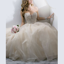 Designer Wedding Gowns and Bri APK