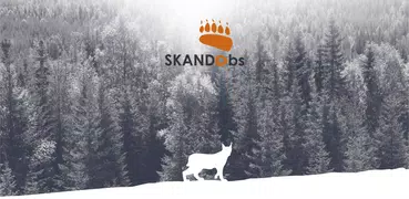 Skandobs