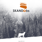 Skandobs icon