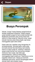 Cerita Rakyat Daerah Lampung capture d'écran 1
