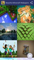 Beautiful Minecraft Wallpapers-poster