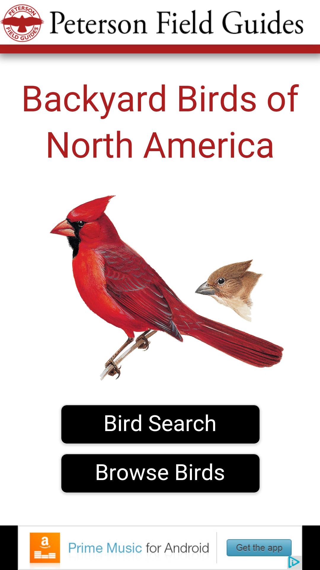 Peterson Backyard Birds APK For Android Download peterson-backyard-birds-apk-for-android-download
