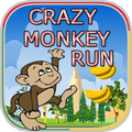 Crazy monkey run