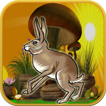 Rabit On The Run