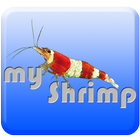 myShrimp - Garnelendatenbank icono