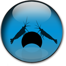 Shrimp Interbreeding Chart APK