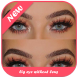 Big Eye Without Lens