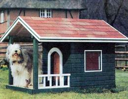DIY Dog house ideas capture d'écran 1