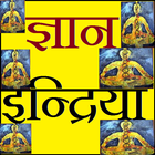 our gyan indriya icon