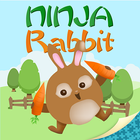 Ninja Rabbit أيقونة