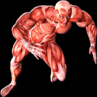 GYM Trainer biểu tượng