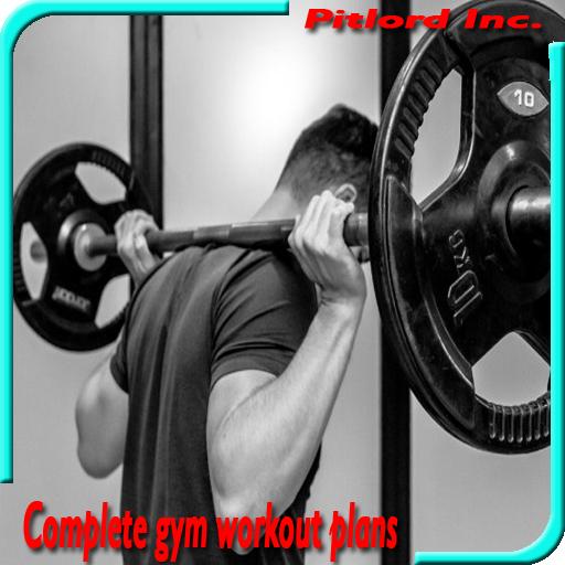 Gym Workout Exercises