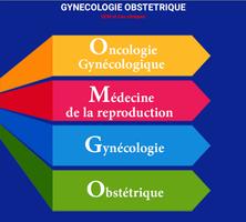 QCM en Gynécologie Obstétrique capture d'écran 1