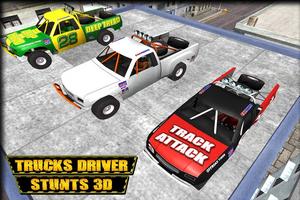 City Trucks Driver Stunts 3D Ekran Görüntüsü 1
