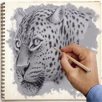 How to draw animals ポスター