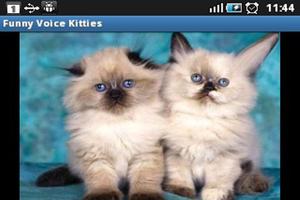 Funny Voice Kittens تصوير الشاشة 1