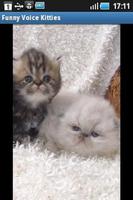 3 Schermata Funny Voice Kittens