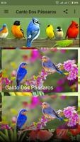 Canto Dos Pássaros ภาพหน้าจอ 1