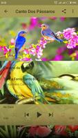 Canto Dos Pássaros ภาพหน้าจอ 2