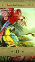 Canto Dos Pássaros ภาพหน้าจอ 3