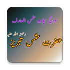 Hazrat Shah Shams Tabraiz (R.A icône