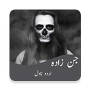 APK Jin Zada (Urdu novel)