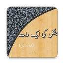 Jungle ki aik raat- Urdu Novel APK