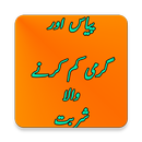 Pyas Aur Garmi Kam (Sharbat) APK