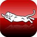 Magnolia School District APK