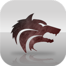 Lincoln Consolidated Schools APK