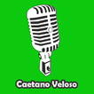 Letras : Caetano Veloso