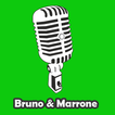 Bruno & Marrone de Letras