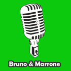 Bruno & Marrone de Letras آئیکن