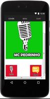 MC Pedrinho de Letras Poster