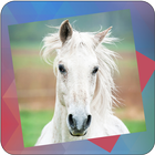 Déjà Vu - Horses icon