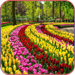 HD  Beautiful Garden Wallpapers