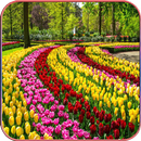 HD  Beautiful Garden Wallpapers-APK