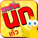 แคปชั่นนก เก้ว คำคมคนนก APK