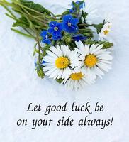 Wishes and Greetings ภาพหน้าจอ 1