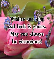 Wishes and Greetings ภาพหน้าจอ 3