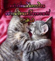 ธรรมะ สอนใจ تصوير الشاشة 3