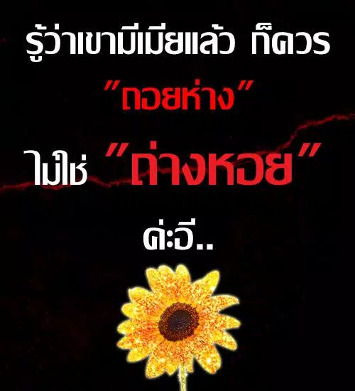 คําคมแรงๆ ด่าคน คำคมเจ็บๆ APK do pobrania na Androida คําคมแรงๆ ด่าคน คำคมเจ็บๆ Apk Do Pobrania Na Androida