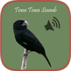 Towa Towa Sounds APK