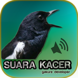 Kacer Gacor icon